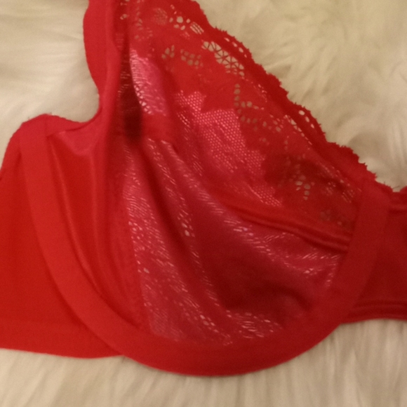 Wacoal Lace & Mesh Pinks Bra - Picture 14 of 16